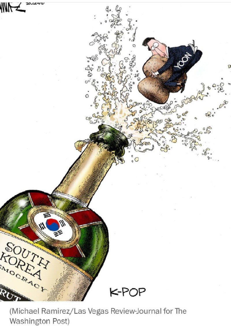 워싱턴포스트 한국 현 시국 만평