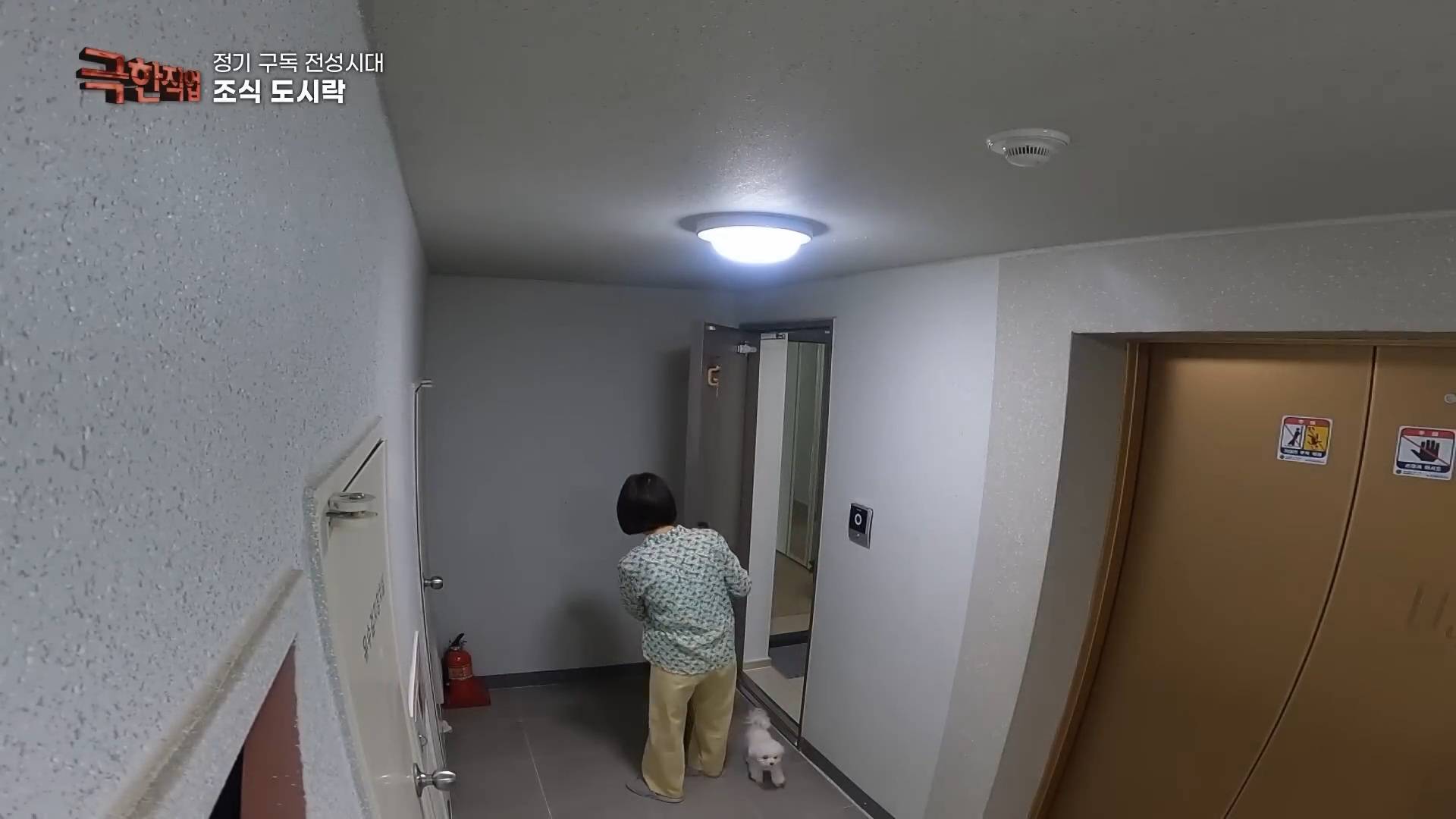 아침 6시까지 현관 앞으로 배달해주는 조식 도시락 | 인스티즈