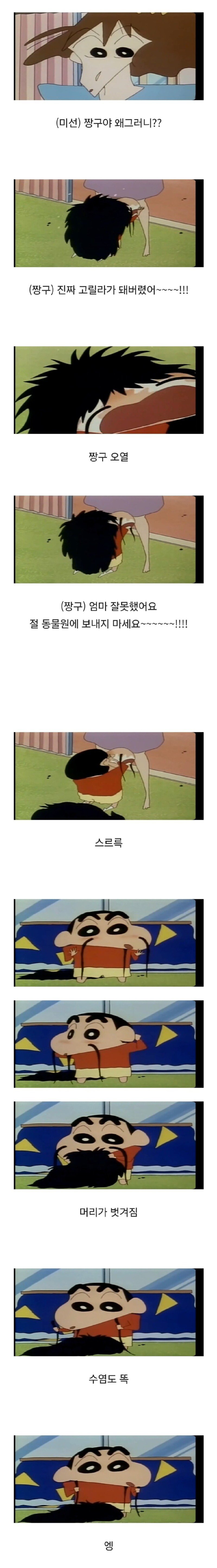 09.jpg