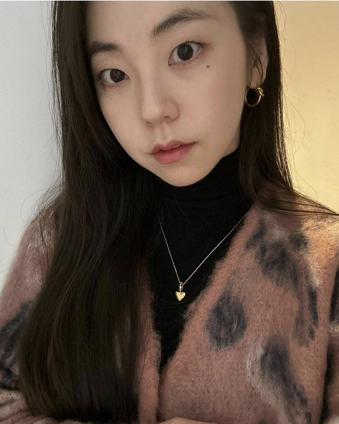 원더걸스 찐팬의 안소희 사진 하드 털이.jpg | 인스티즈