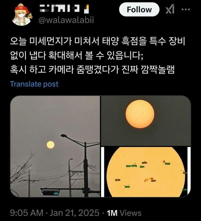 [매우 나쁨]의 미세먼지의 순기능