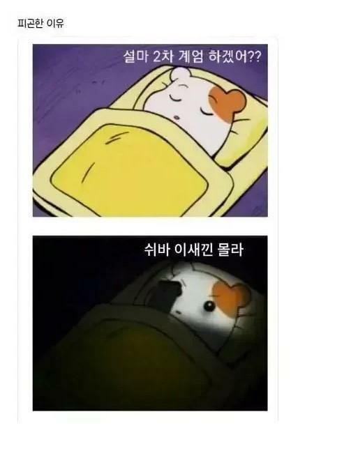 요즘 대한민국 국민이 피곤한이유