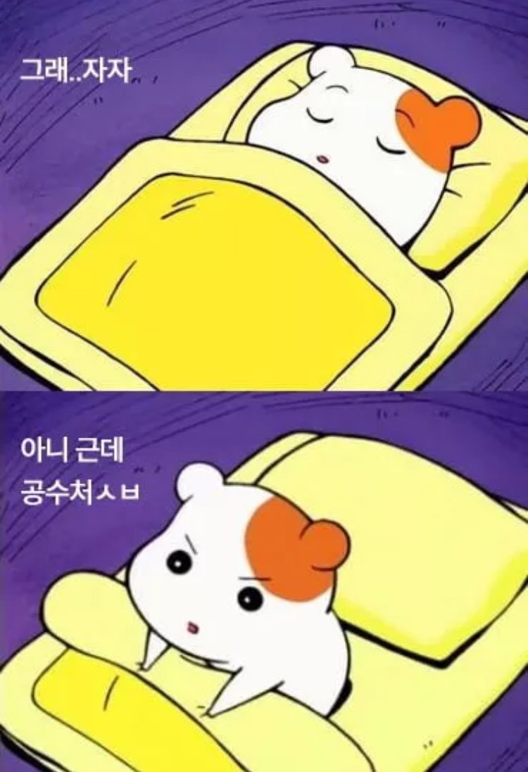 24년엔 계엄 불면증,25년엔 공수처 불면증
