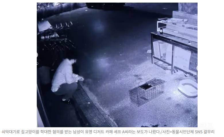 쇠막대기로 길고양이 학대, 유명 쉐프였다?… SNS 계정 폐쇄46