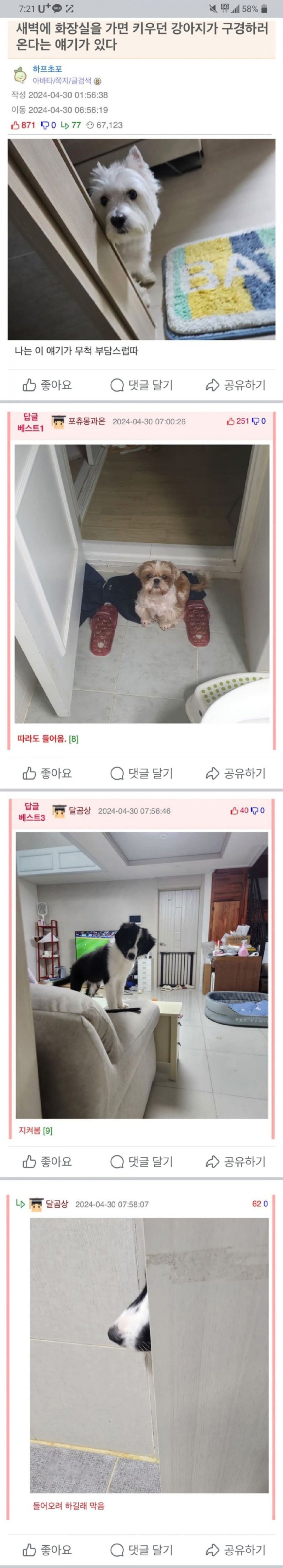 새벽에 화장실을 가면 키우던 강아지가 구경하러 온다는 얘기가 있다
