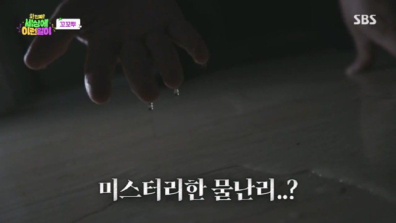 04.jpg