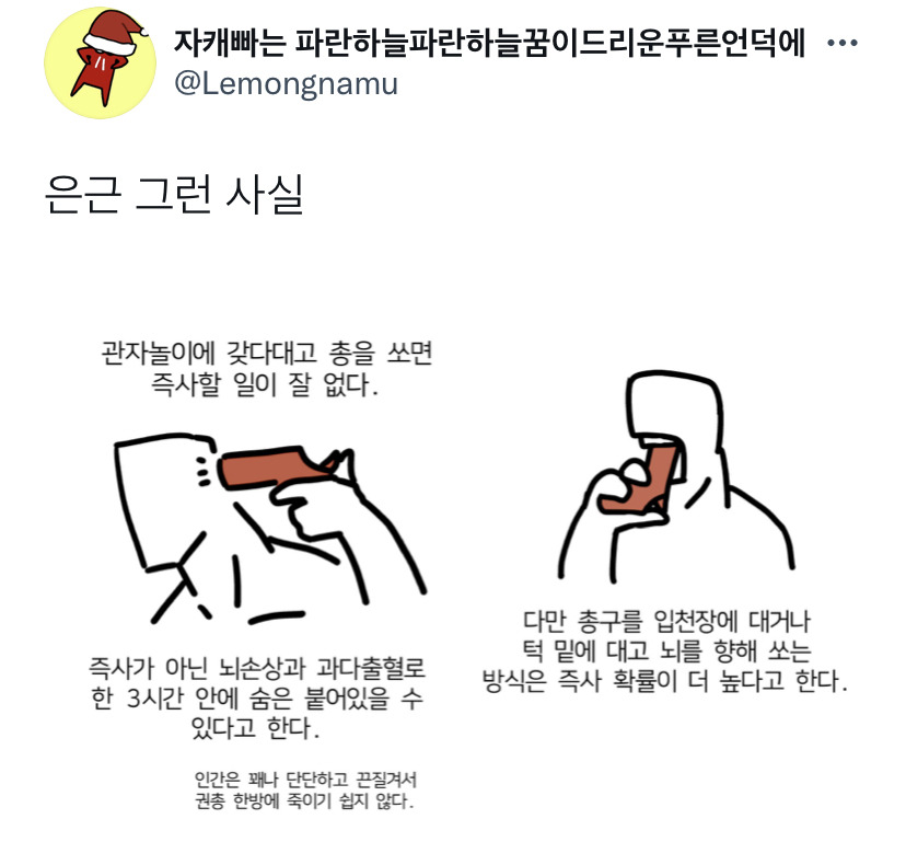 관자놀이에 총을 쏘면 즉사하는 경우가 잘 없다.twt5