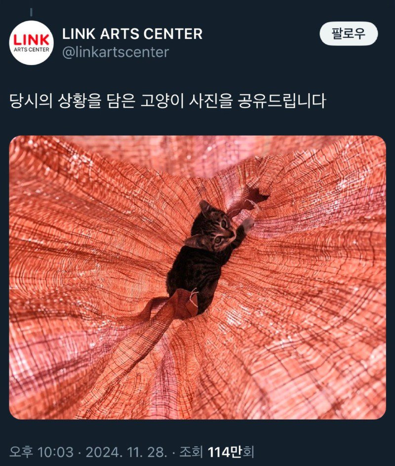 04.jpg