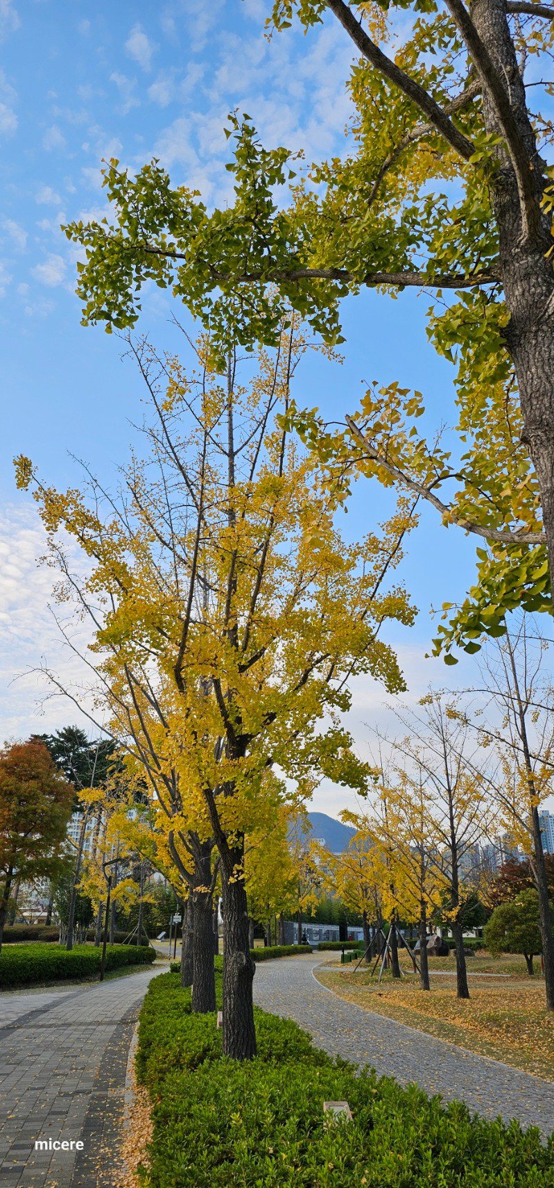 오늘도 열심히 살았습니다.