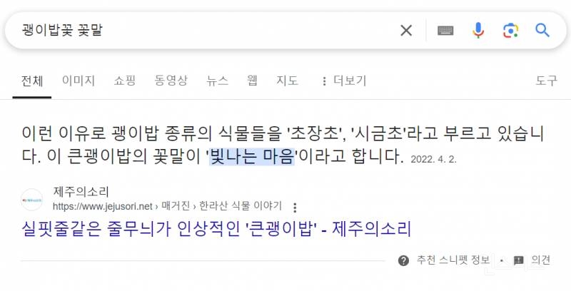 신곡 뮤비에 뉴진스 응원 꼭꼭 숨겨놓은 가수 수란 | 인스티즈