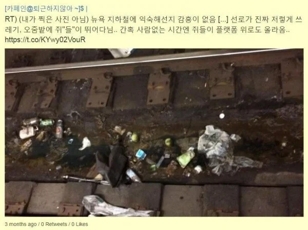 외국인들이 극찬하는 한국 시설 | 인스티즈