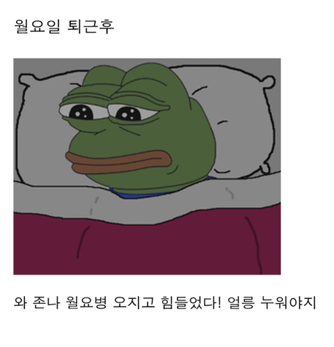 직장인들의 90%가 이런다고 하는 1주일 일상패턴.jpg