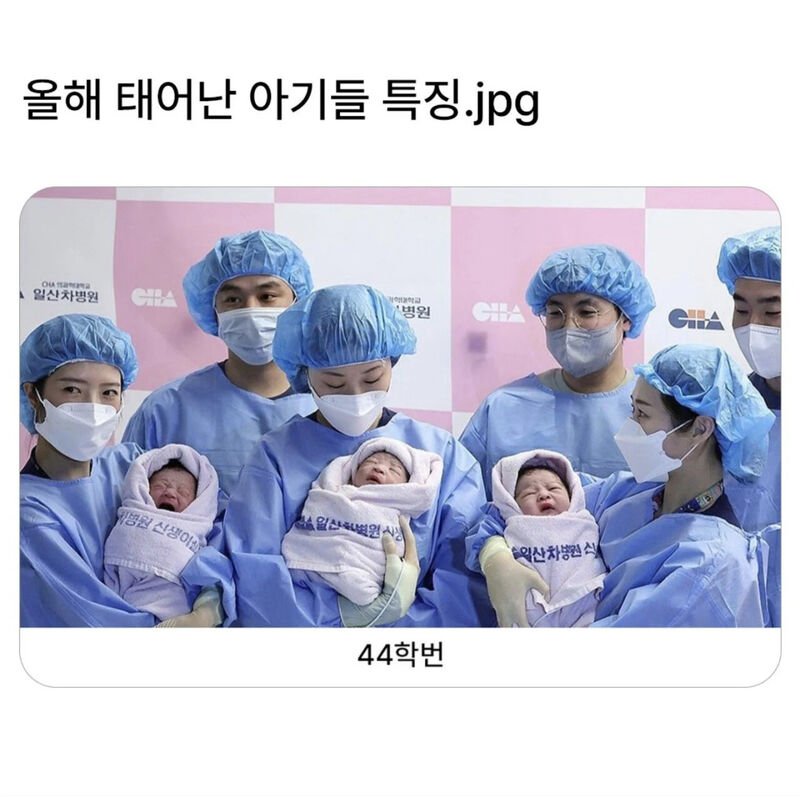 올해 태어난 아이들 44학번