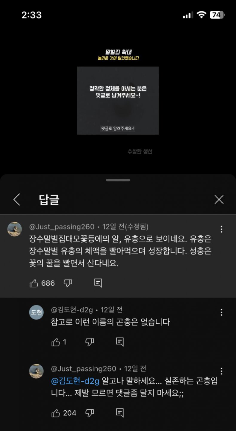유튜브 댓글 진짜 ㅋㅋㅋㅋ
