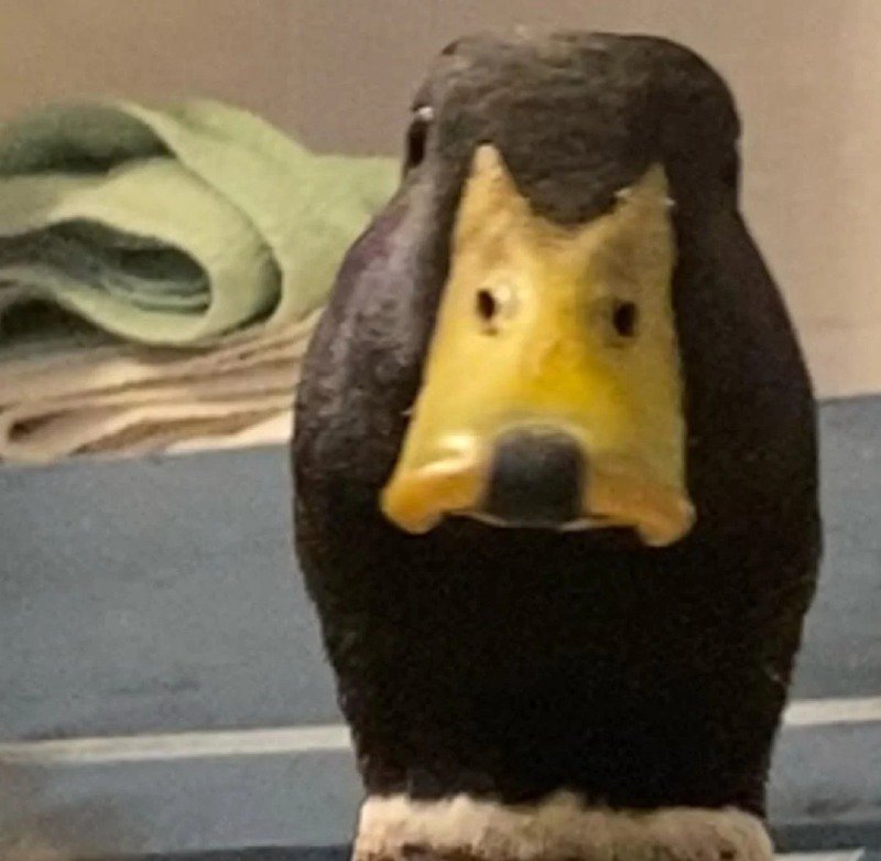 06.jpg