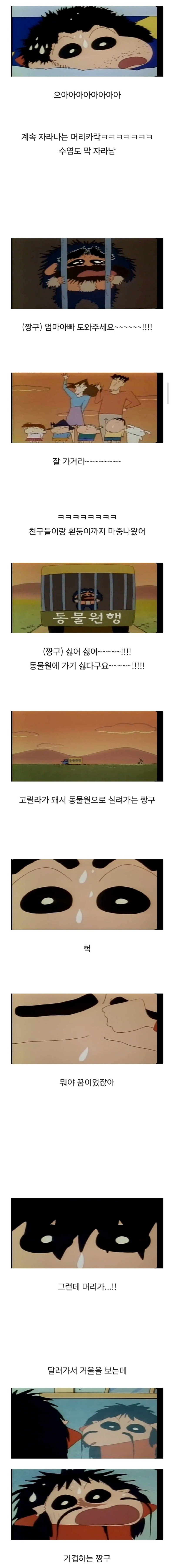 08.jpg