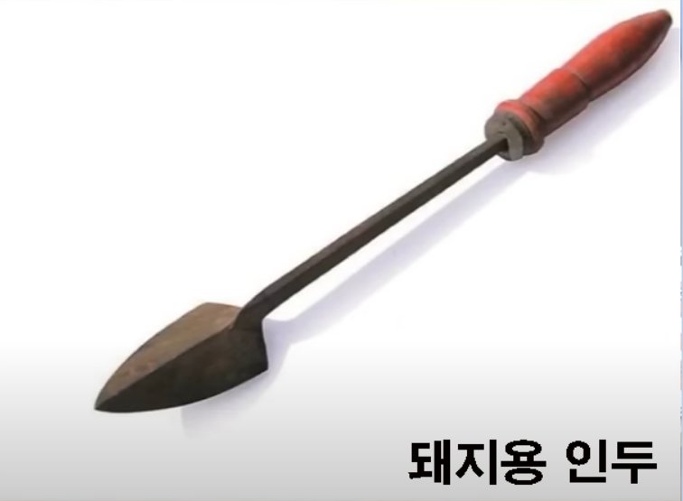 저는 윤석열 지지자 쪽입니다