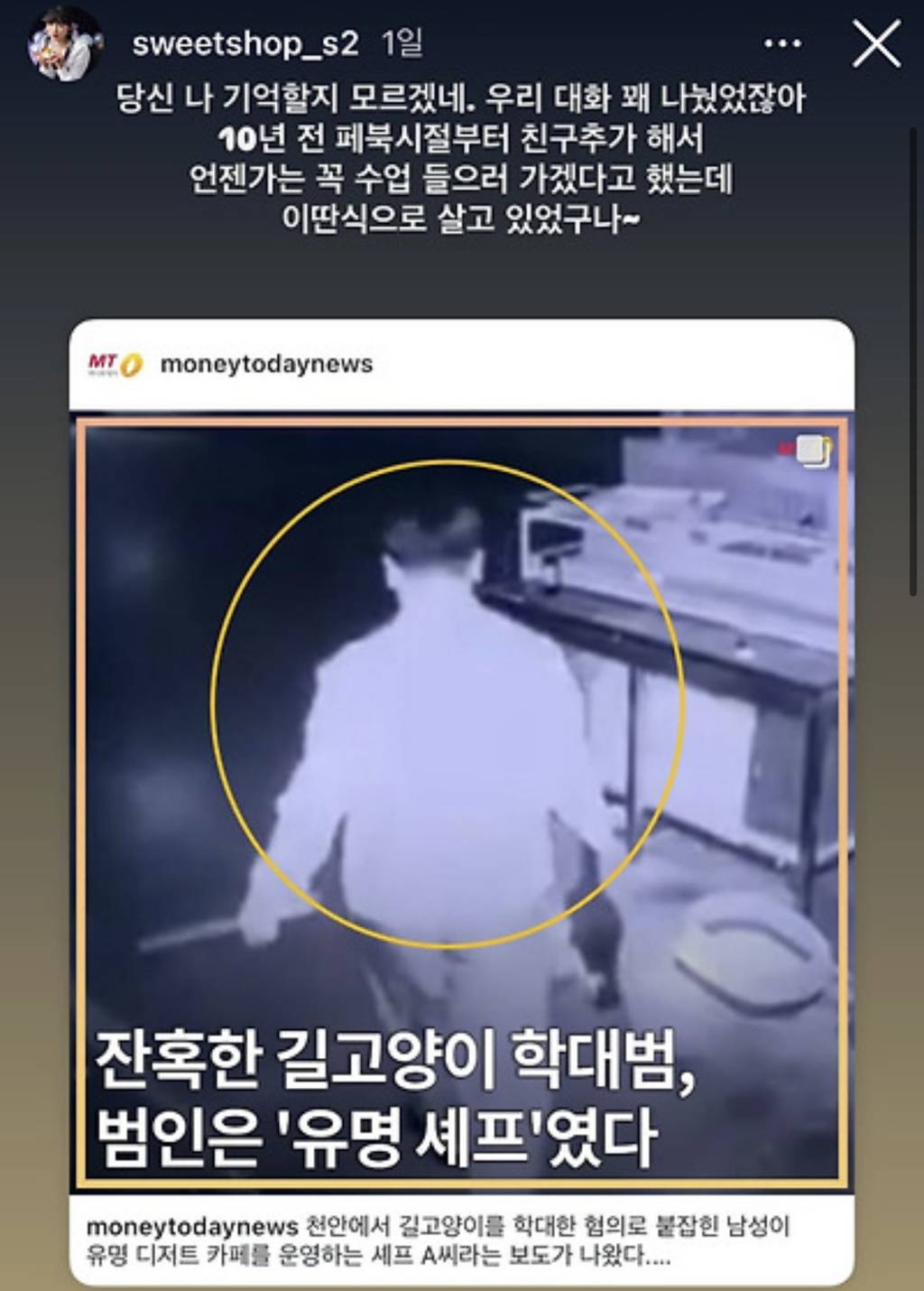 유튜버 이상한 과자가게 인스타 스토리(천안 길고양이 학대 관련)