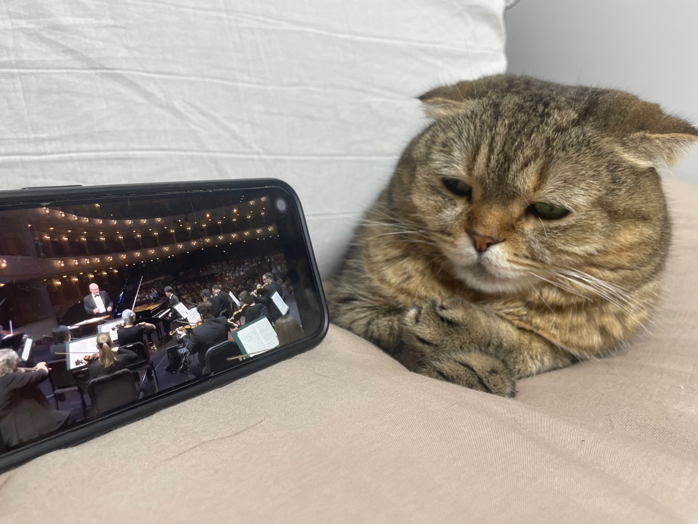 아아 오유를 자주 못 들어오니 이것도 스트레쑤!!!