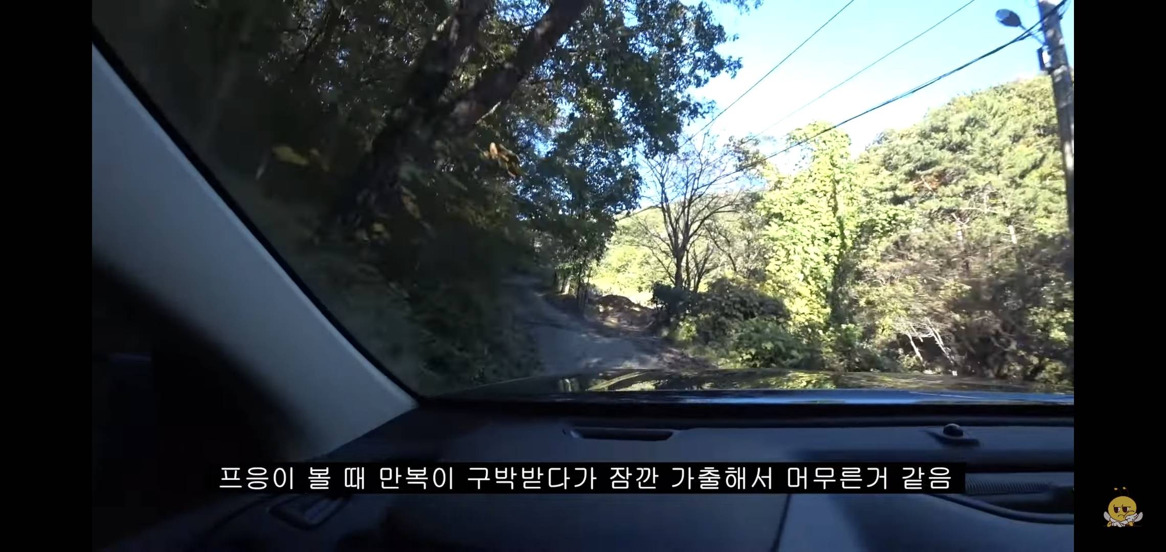 갑자기 유튜버 집에 들어온 떠돌이개가 알고보니 부잣집 도련님이었음.jpg | 인스티즈
