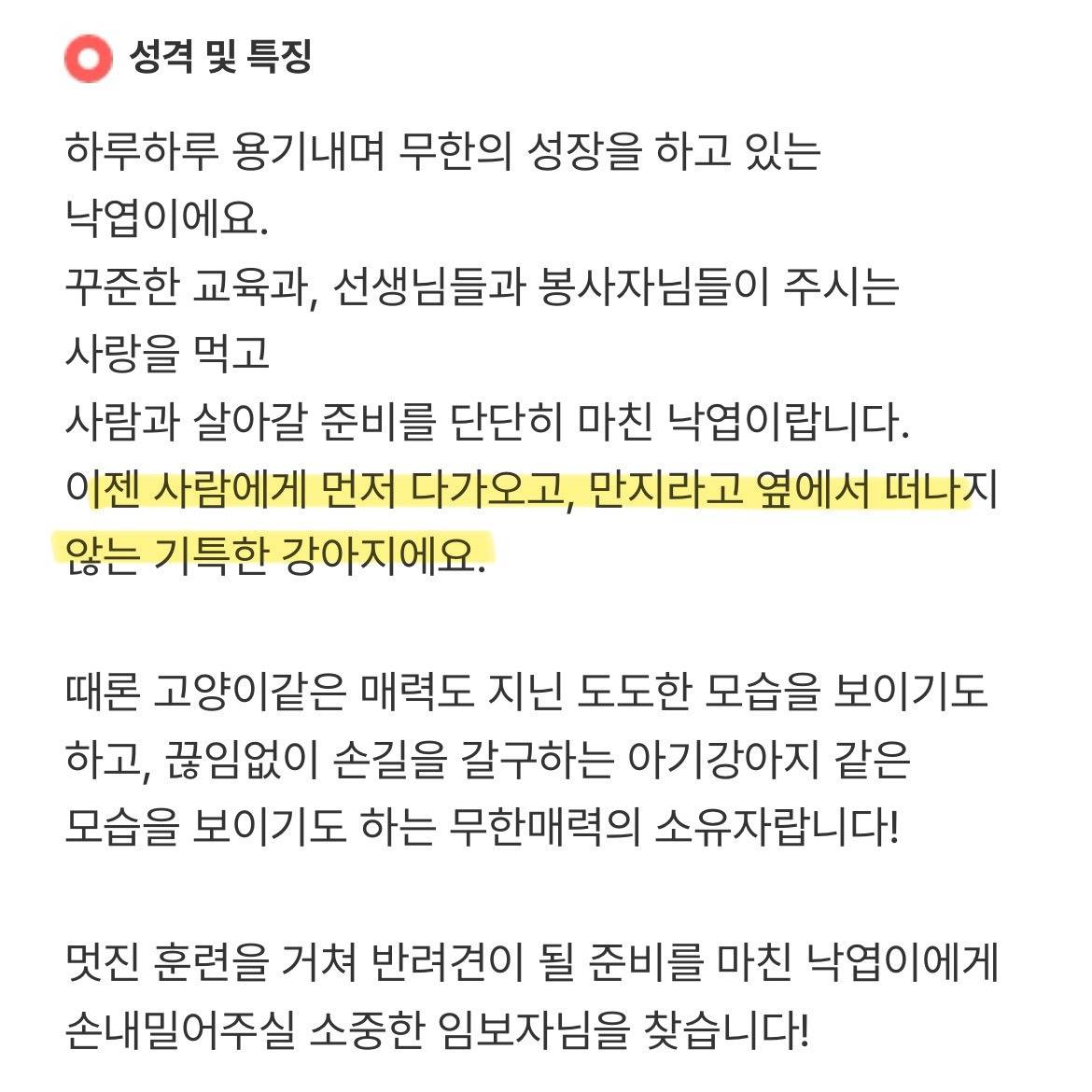나 이런 거에 되게 약해.. 🍁성장캐 낙엽이의 단기임보처 괌! | 인스티즈