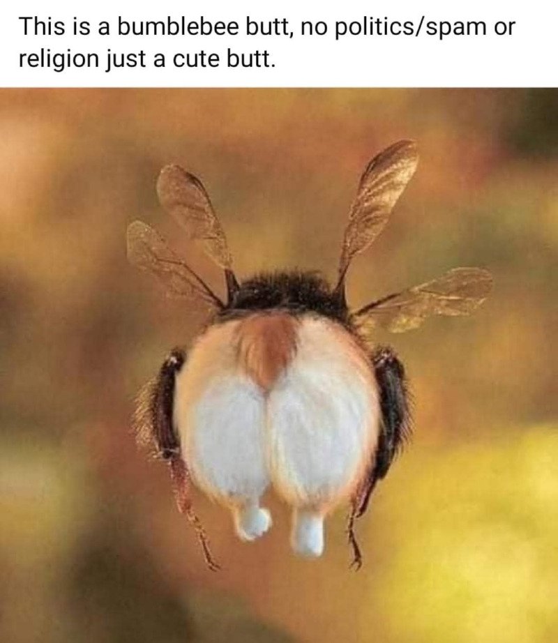 아침은 엉덩이로 시작 하시죠