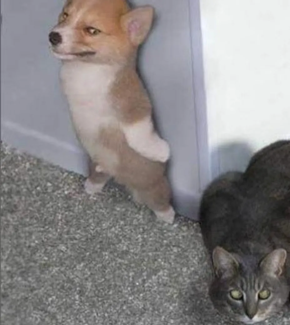 완전. 쫄~톰과제리인줄ㅋ
