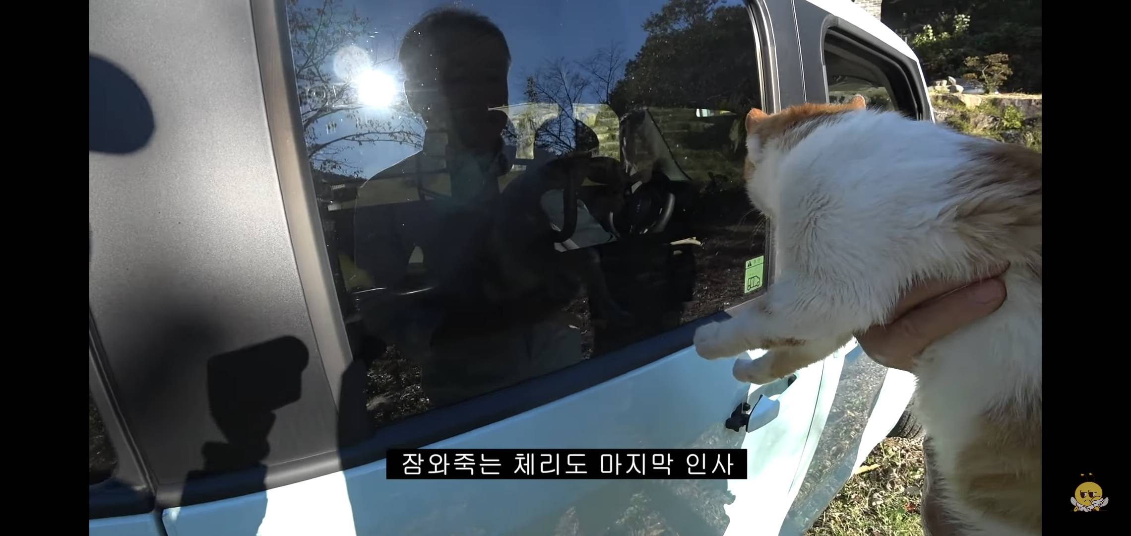 갑자기 유튜버 집에 들어온 떠돌이개가 알고보니 부잣집 도련님이었음.jpg | 인스티즈