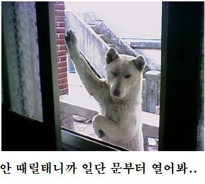 내란의 힘 이만희가 대단한 이유