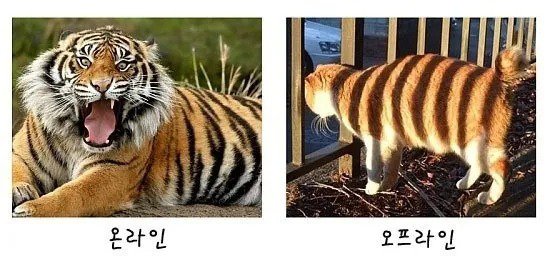 방구석 여포