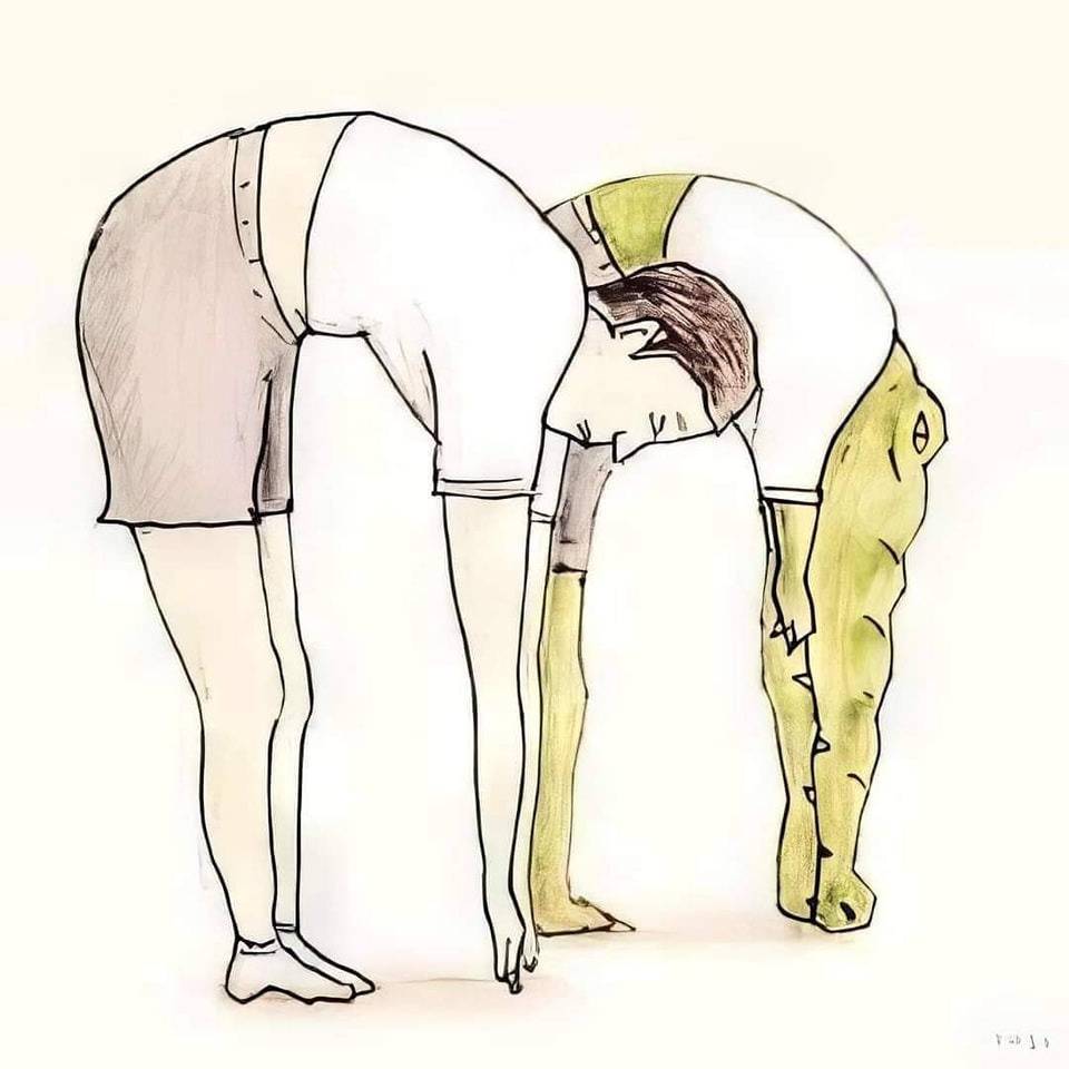악어로 살면 생길 수 있는 문제들 | 인스티즈