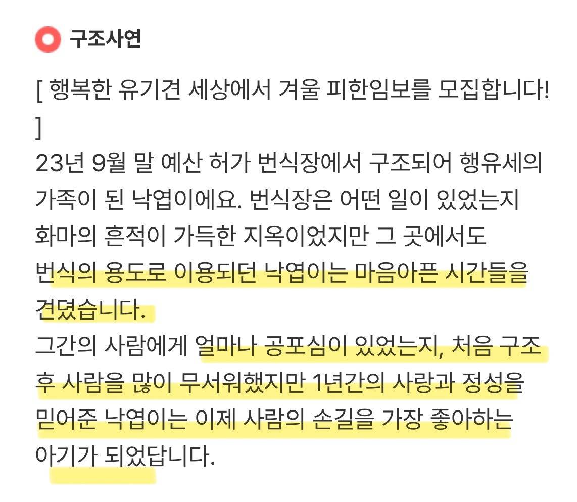 나 이런 거에 되게 약해.. 🍁성장캐 낙엽이의 단기임보처 괌!