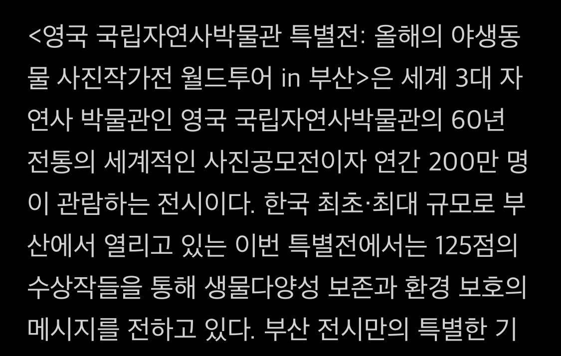 김재중, 세이마이네임 ESG 캠페인 홍보대사로 부산 방문 | 인스티즈