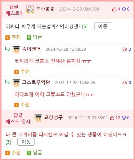 코끼리랑 코뿔소랑 싸우면